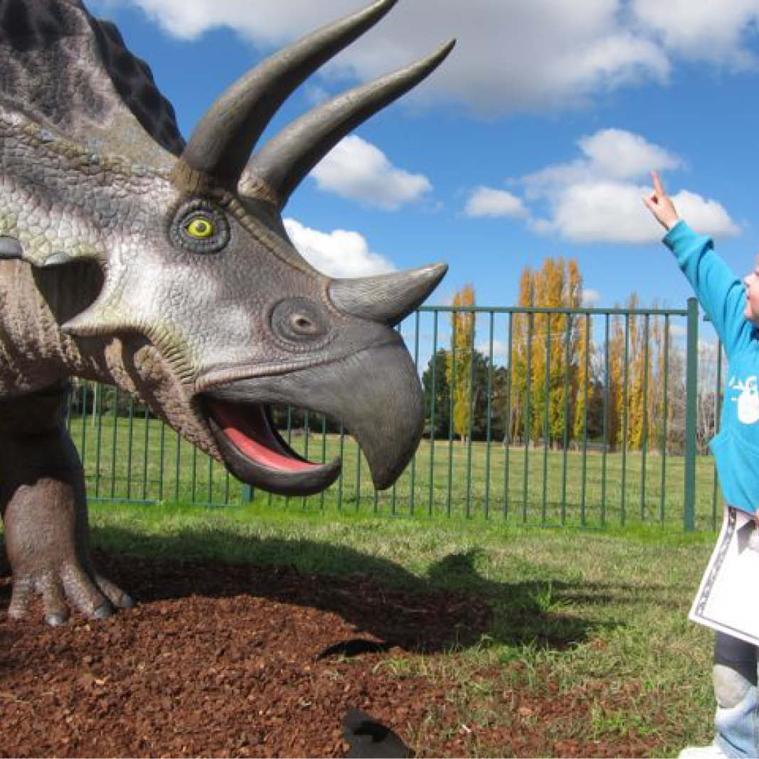 Natureworks Australia Triceratops Dinosaur - Medium 100048