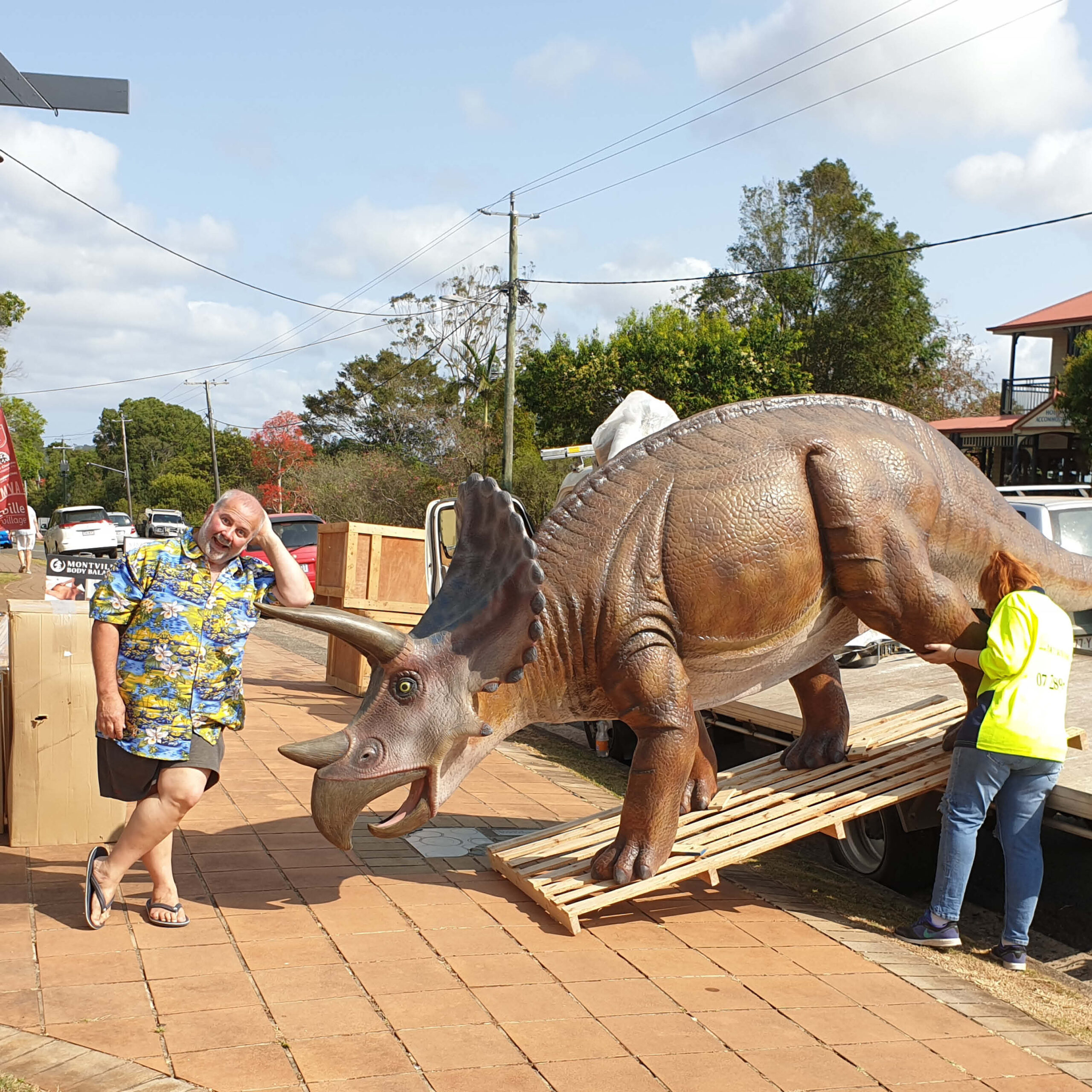 Natureworks Australia Triceratops - Medium 100048 - delivery to customer at Montville restaurant 100048- shown walking of truck ramp and customer posing for photo opportunity