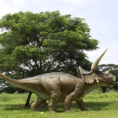Natureworks Australia Triceratops Dinosaur statue - Giant -SKU: 140098 - Side view
