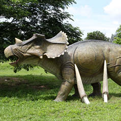 Natureworks Australia Triceratops Dinosaur statue - Giant -SKU: 140098 - side view with horns removed for easy shipping