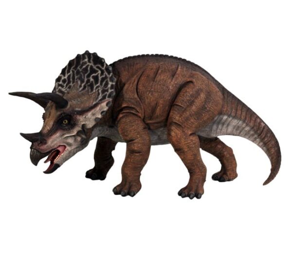 Triceratops