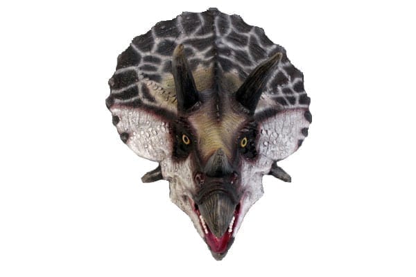 Triceratops Head Definitive HO