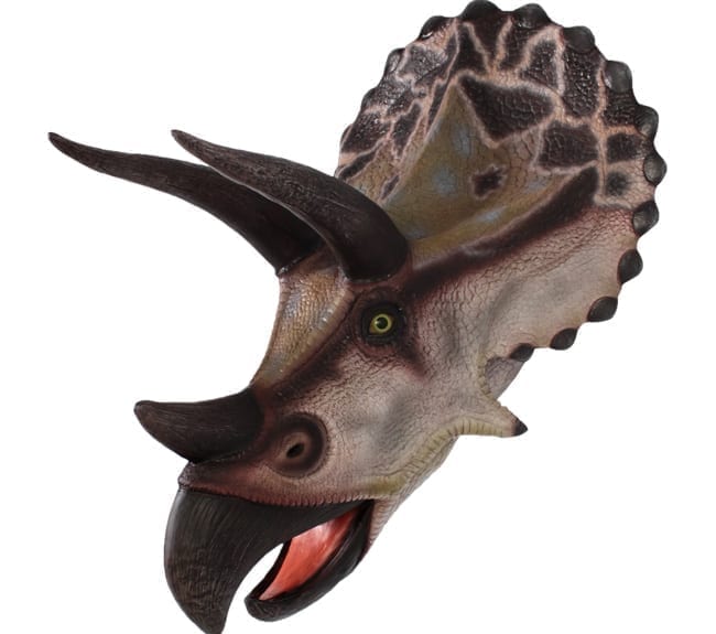 Triceratops Head Wall Decor