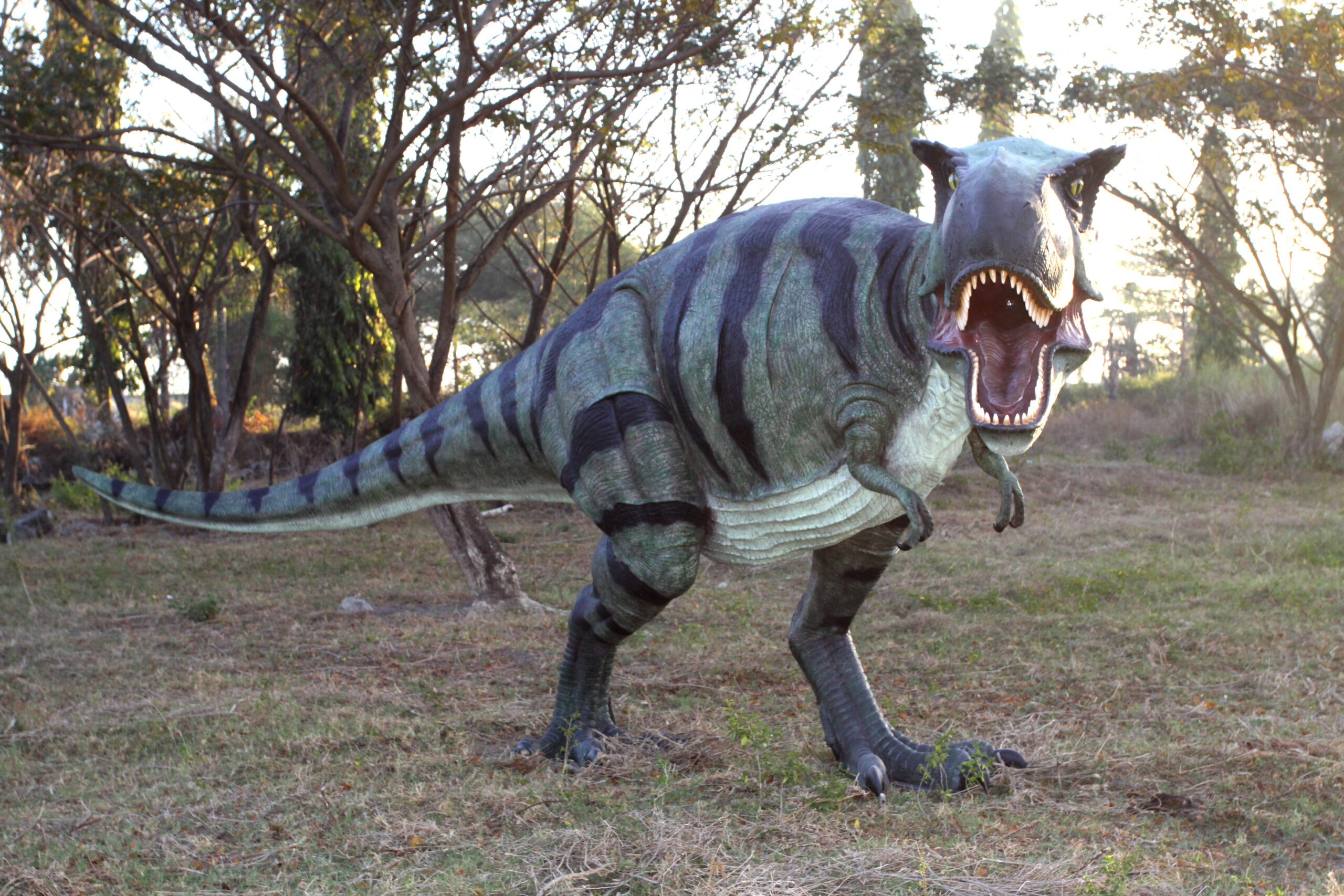 Natureworks Australia Tyrannosaurus Rex also T-Rex dinosaur statue - 110073- outdoor side angle view