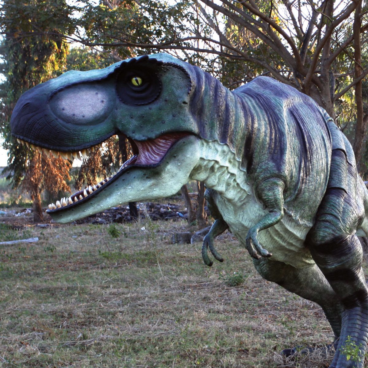 Natureworks Australia Tyrannosaurus Rex Dinosaur Walking - Shown - active pose