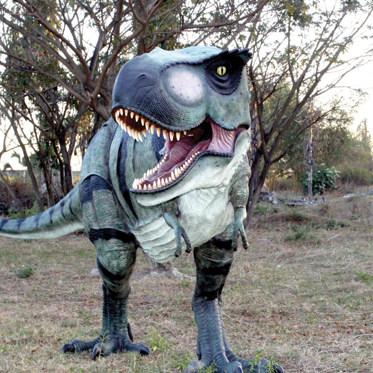 Natureworks Australia Tyrannosaurus Rex Dinosaur - Walking - Lare -110073- outside view
