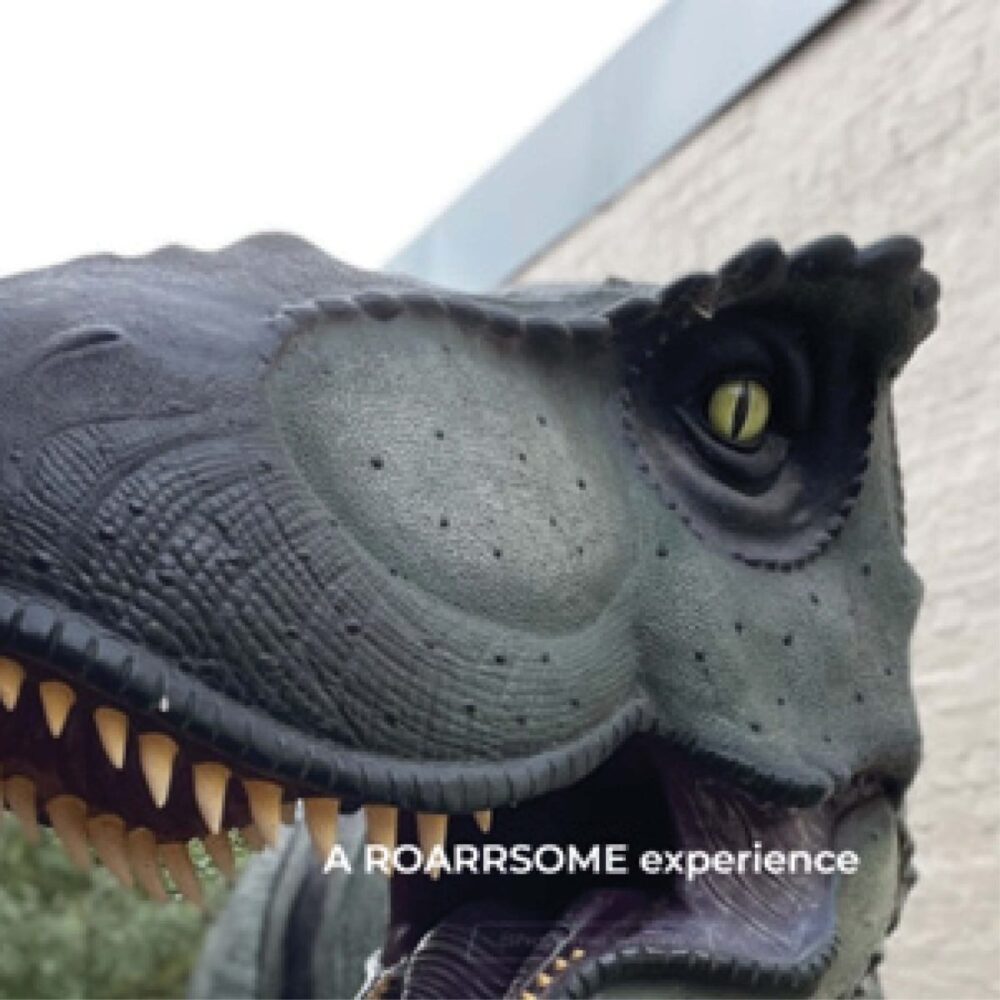 Tyrannosaurus Rex Dinosaur Walking - Shown at customer show