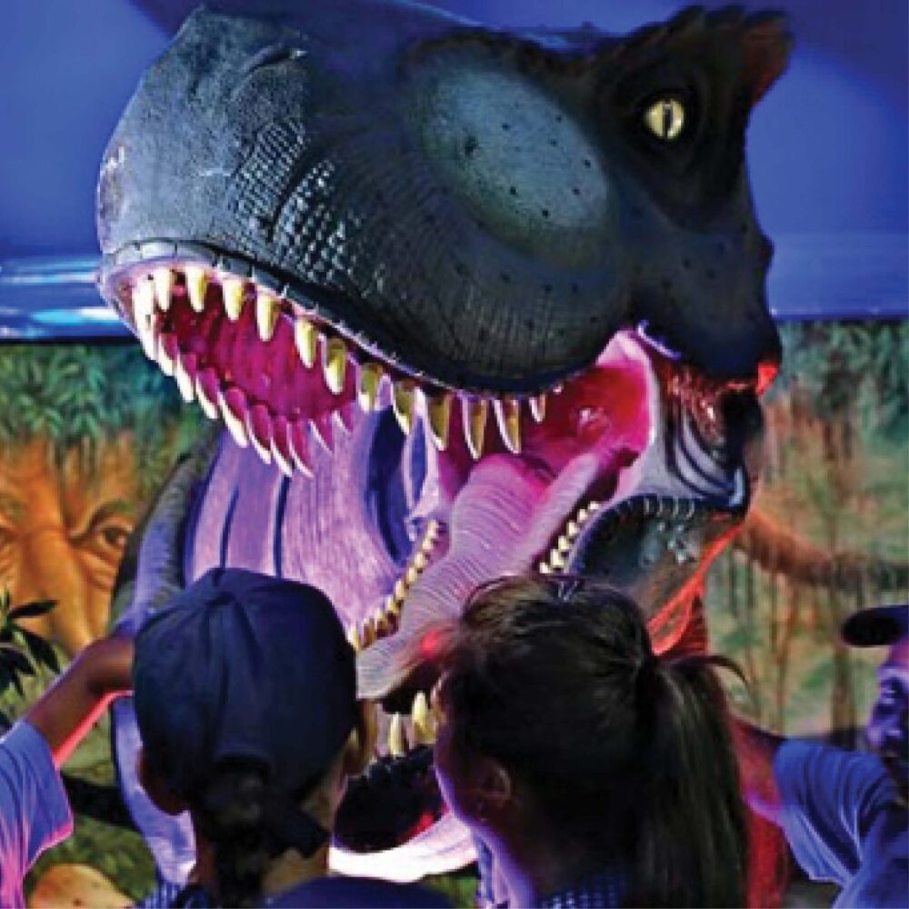 Tyrannosaurus Rex Dinosaur Walking - Shown in display with visitors and lights