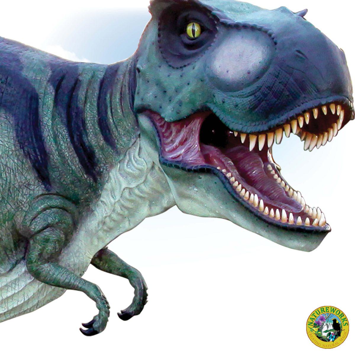 Natureworks Australia Tyrannosaurus Rex Dinosaur Walking - Showing close up of head and neck