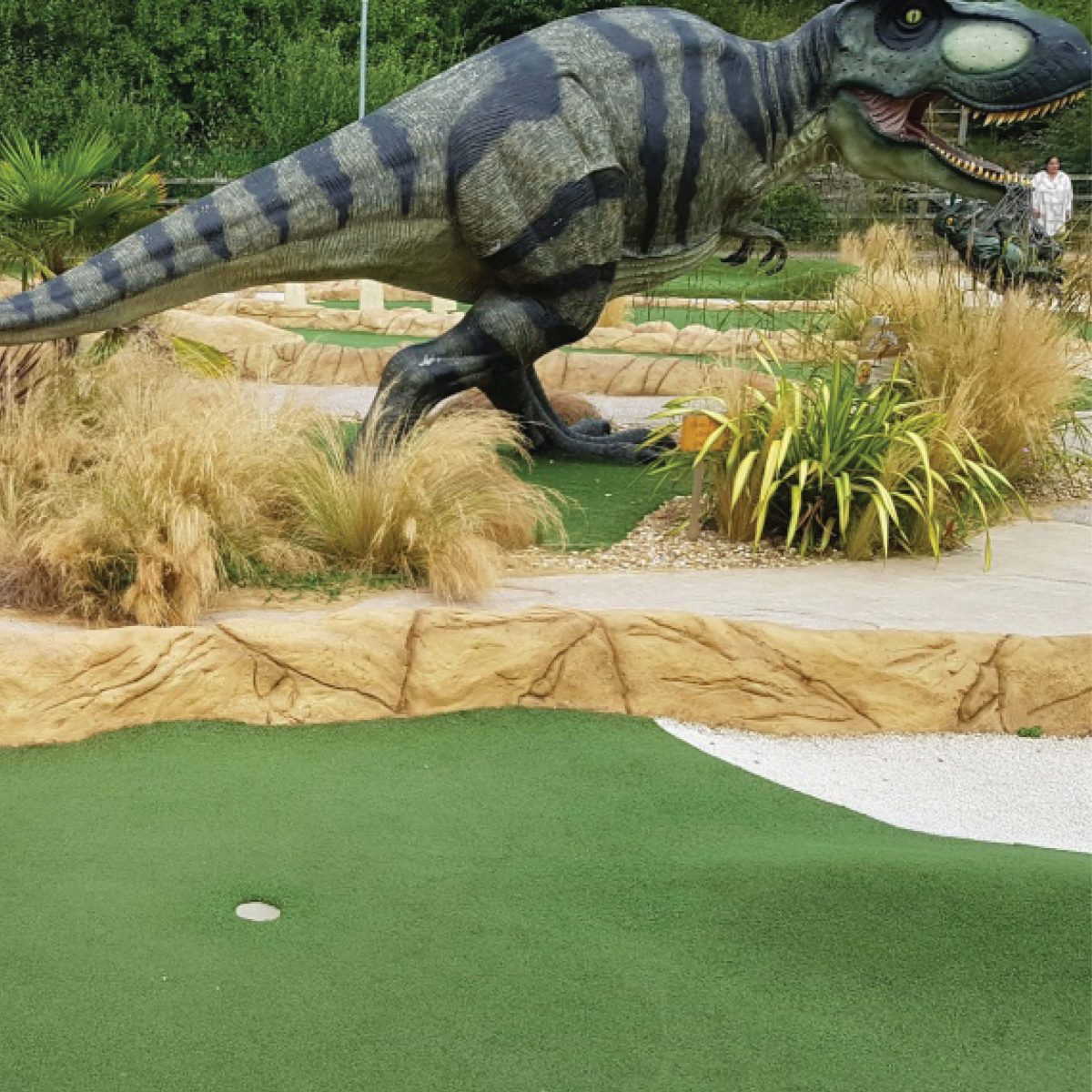 Natureworks Australia Tyrannosaurus Rex Dinosaur Walking - Shown- in mini-golf course