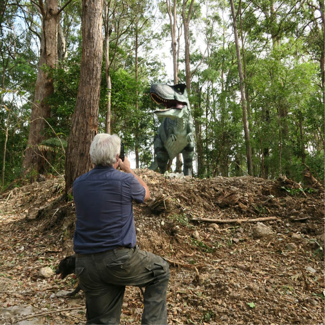 Natureworks Australia Tyrannosaurus Rex also T-Rex dinosaur statue - 110073- shown insitu in outdoor acreage setting.