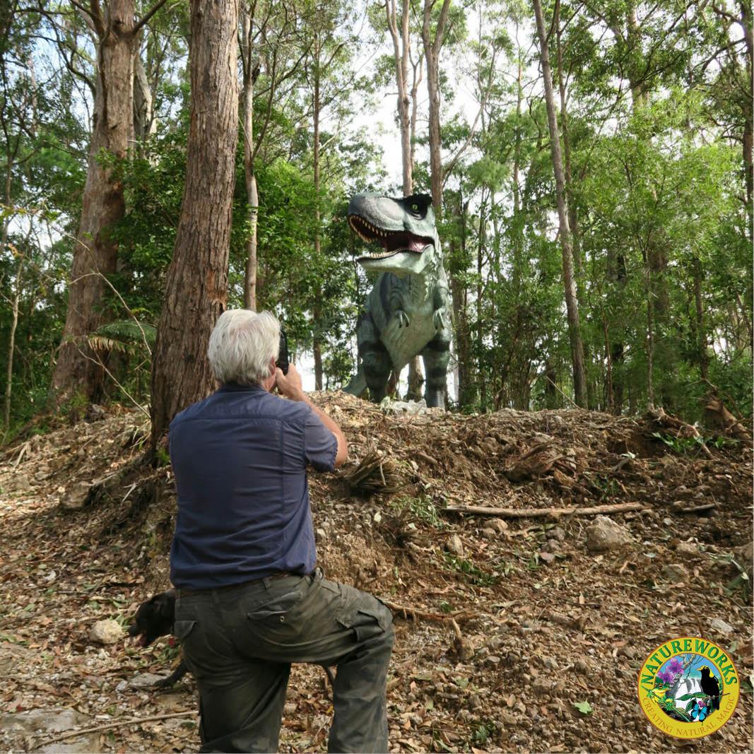 Natureworks Australia Tyrannosaurus Rex also T-Rex dinosaur statue - 110073- shown insitu in outdoor acreage setting.