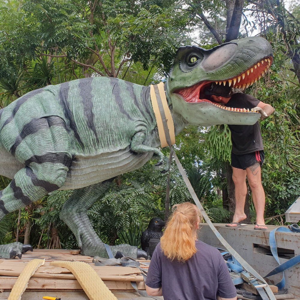 Tyrannosaurus Rex - natural painted finish - walking pose- ready for delivery to customer- 110073