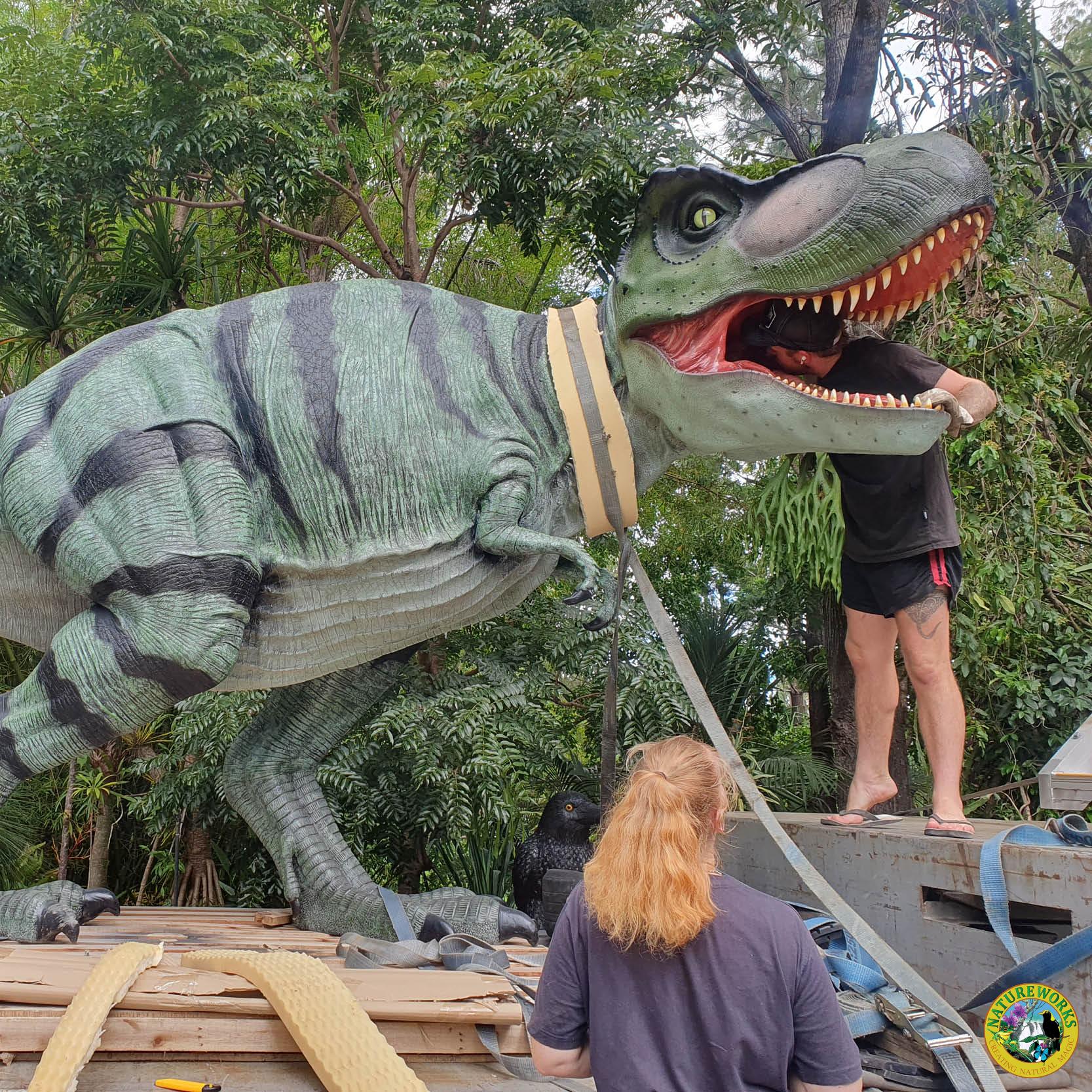 Natureworks Australia Tyrannosaurus Rex - natural painted finish - walking pose- ready for delivery to customer- 110073