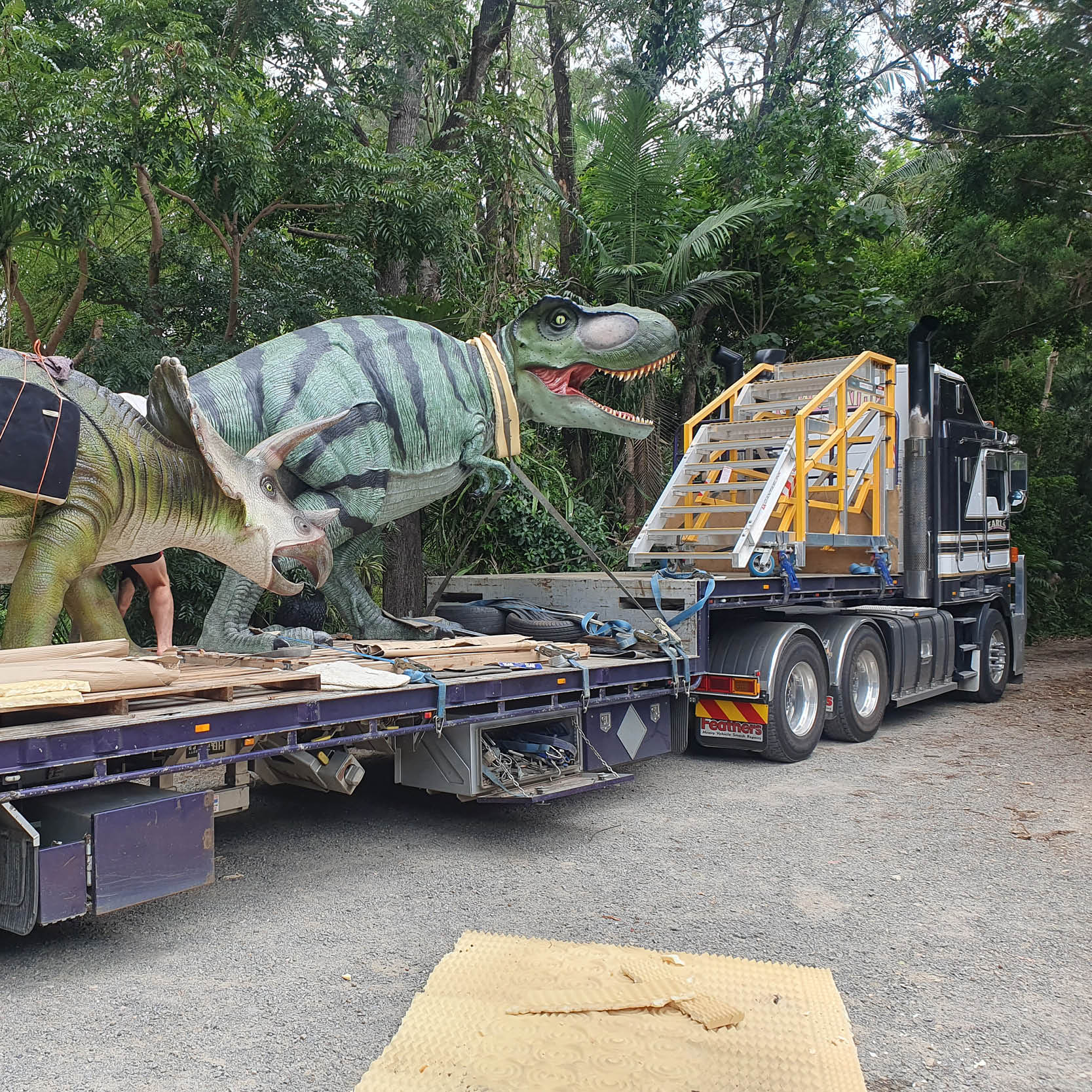 Natureworks Australia Tyrannosaurus Rex - natural painted finish - walking pose- ready for delivery to customer- shown on the back of a large truck trailer with our medium triceratops dinosaur