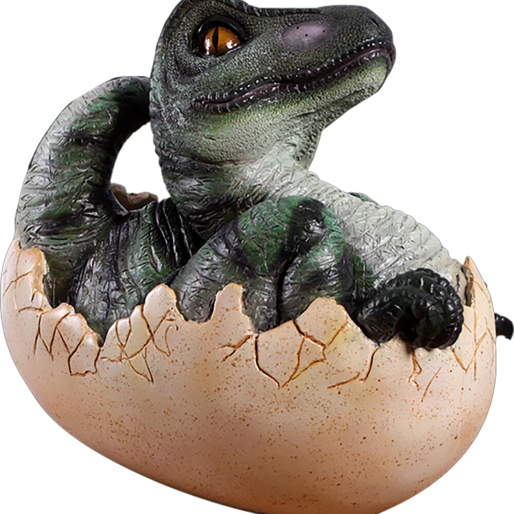 Dinosaur Baby Hatchings