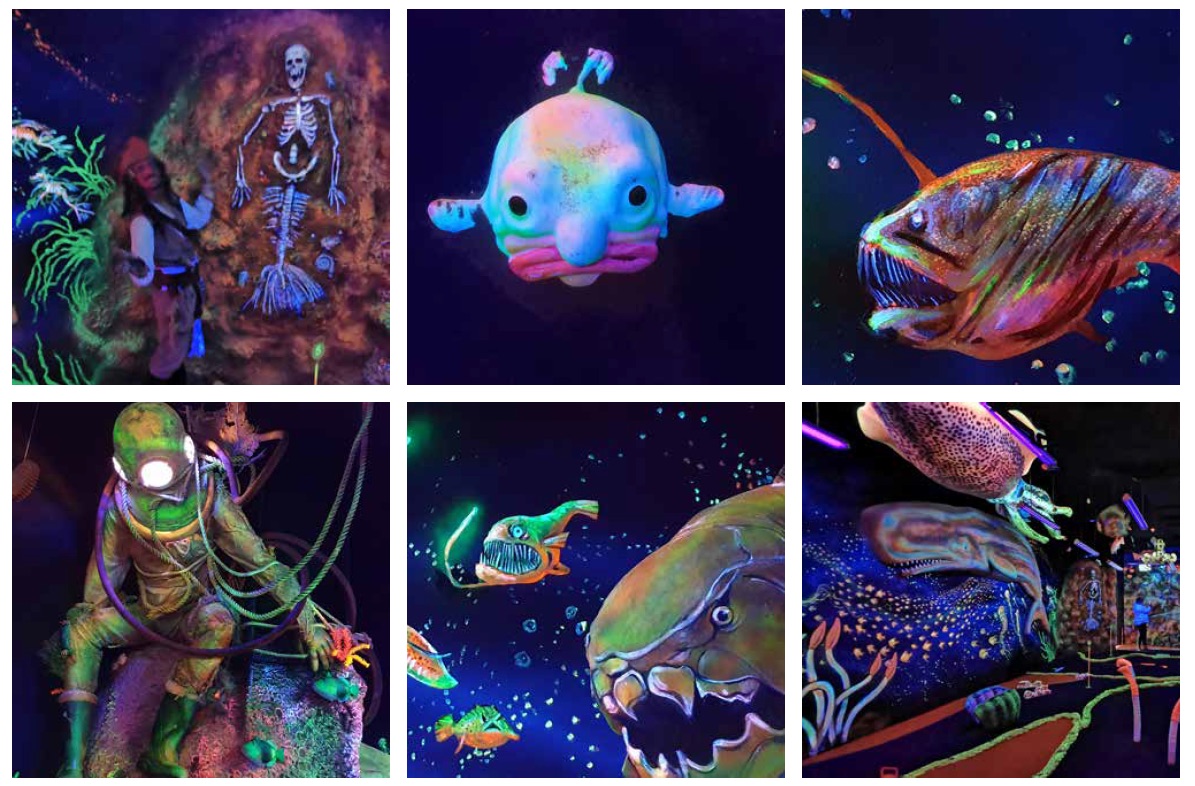 Natureworks Australia Undersea putt n play blacklight murals