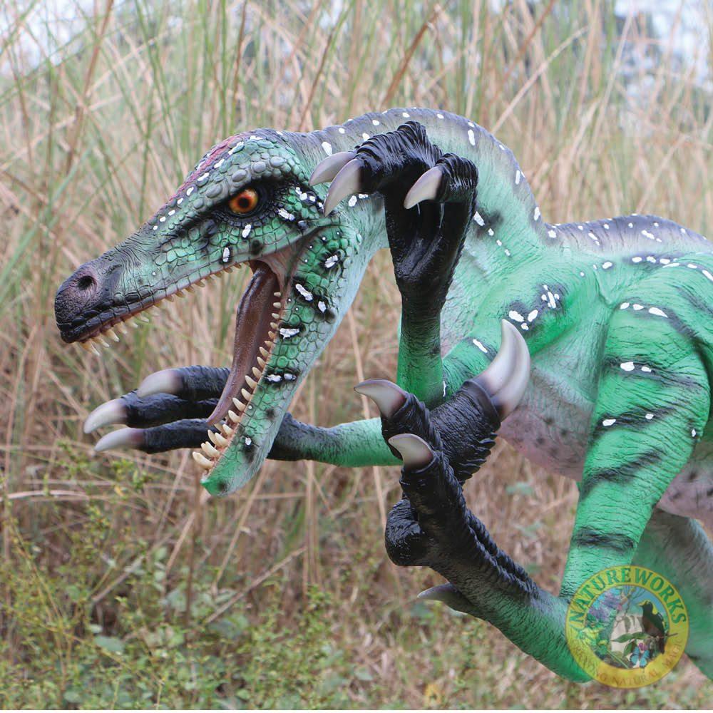 Natureworks Australia Velociraptor Ferocious Dinosaur - Image 3