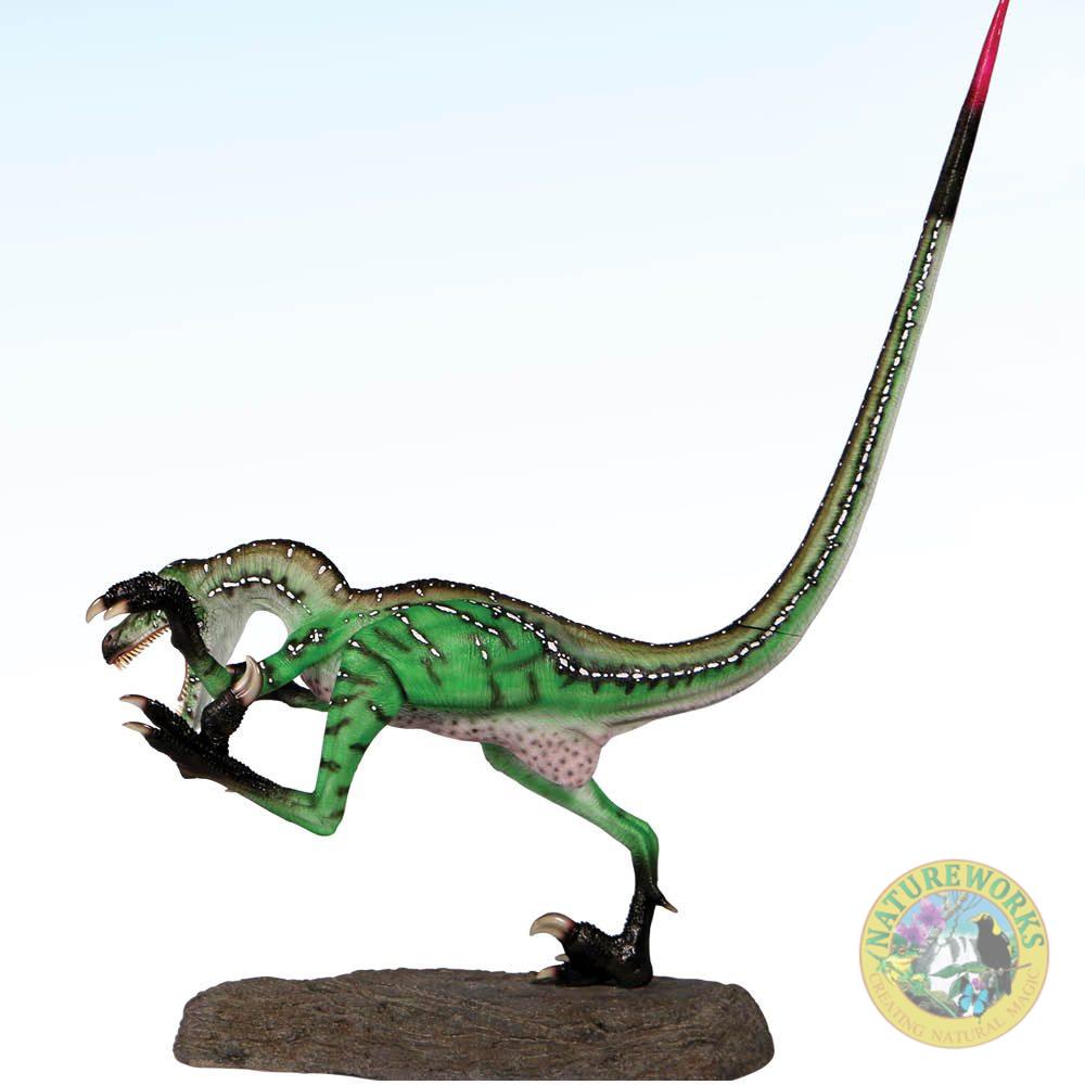 Natureworks Australia Velociraptor-Ferocious-in dynamic running pose