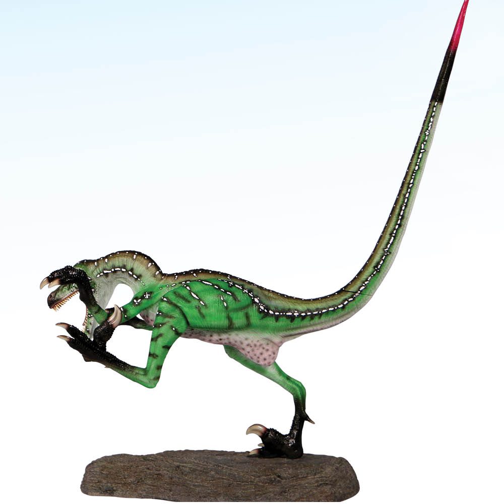 Natureworks Australia Velociraptor-Ferocious-in dynamic running pose