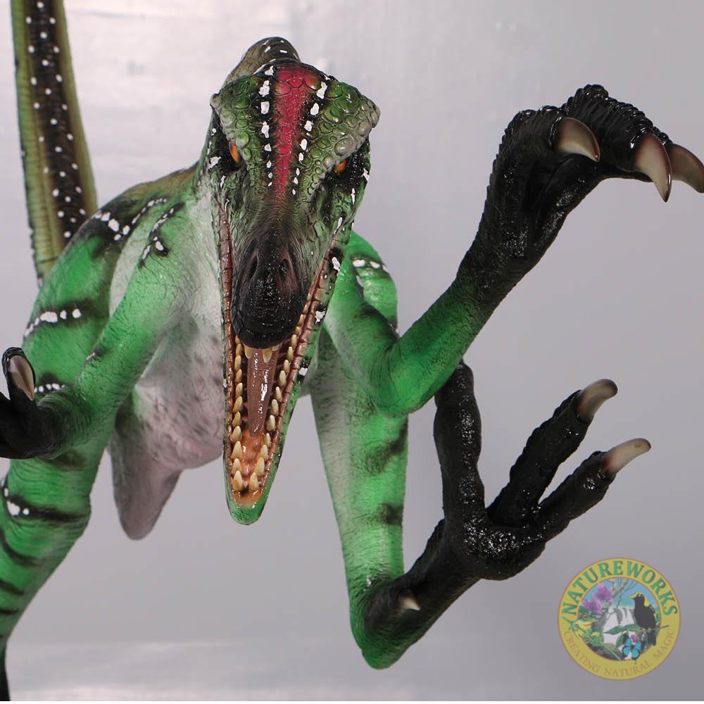 Natureworks Australia Velociraptor-Ferocious-front view