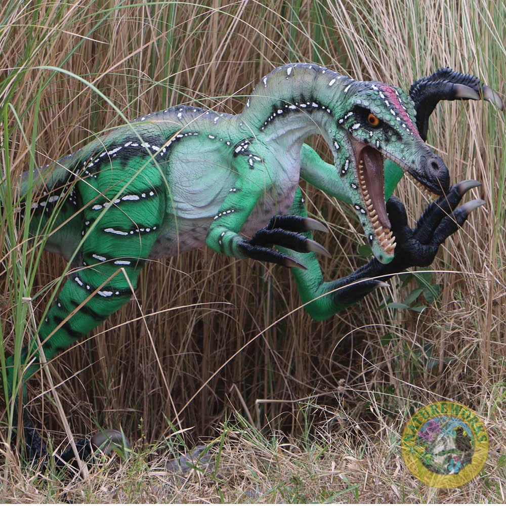 Natureworks Australia Velociraptor Ferocious Dinosaur - Image 4