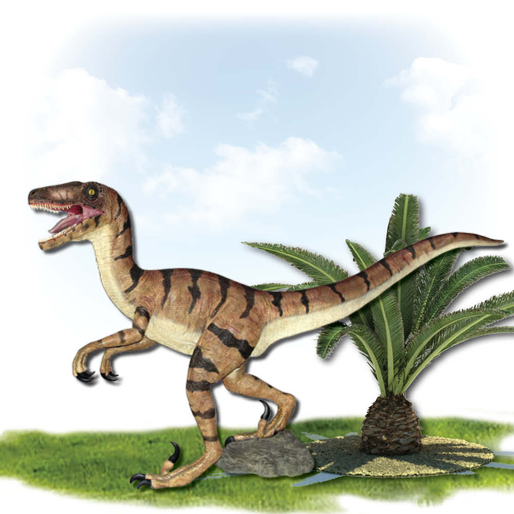 Natureworks Australia Velociraptor Natural - standing - 110015