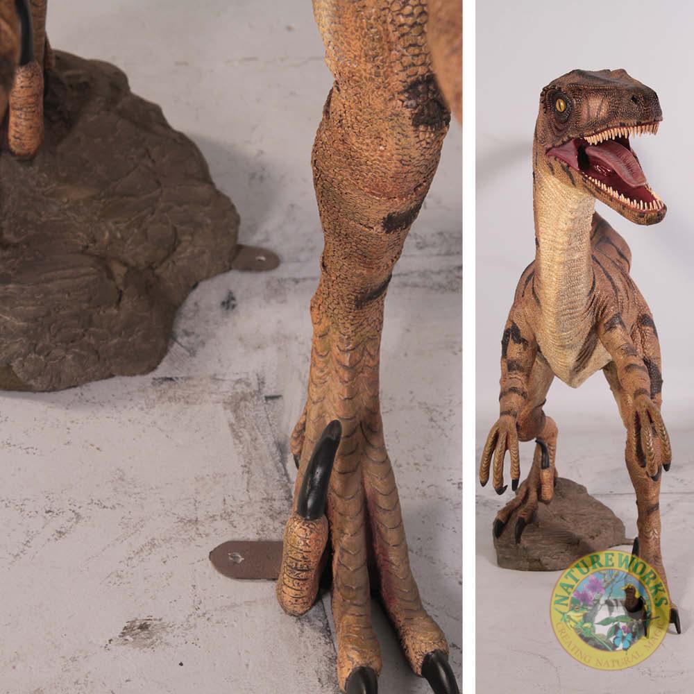 Natureworks Australia Velociraptor Natural - standing - 110015 - showing front foot and front view of dinosaur
