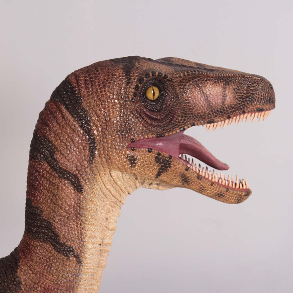 Natureworks Australia Velociraptor Natural - standing - 110015 - close up of head