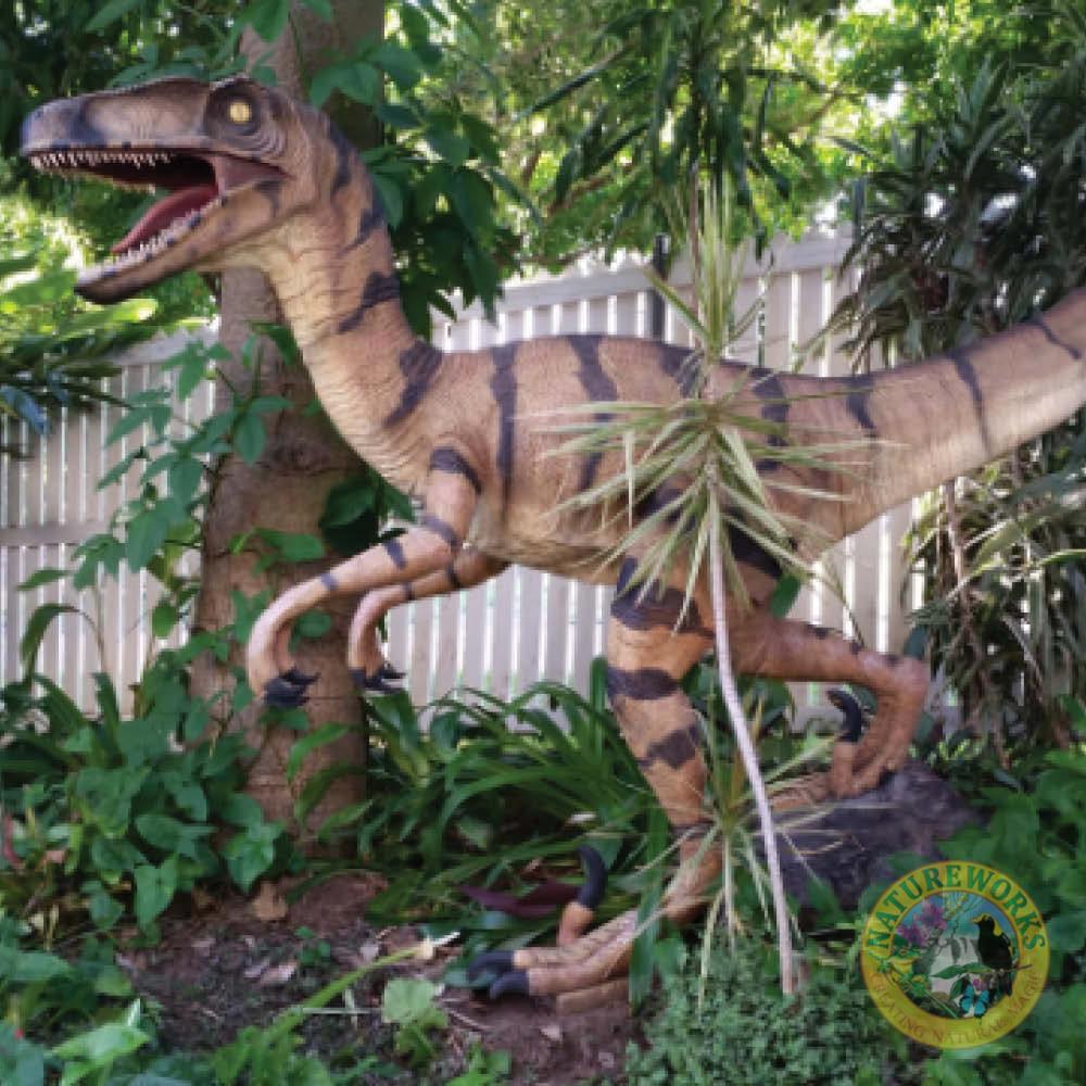 Natureworks Australia Velociraptor Natural - standing - 110015 - shown in exhibit outside in natural setting