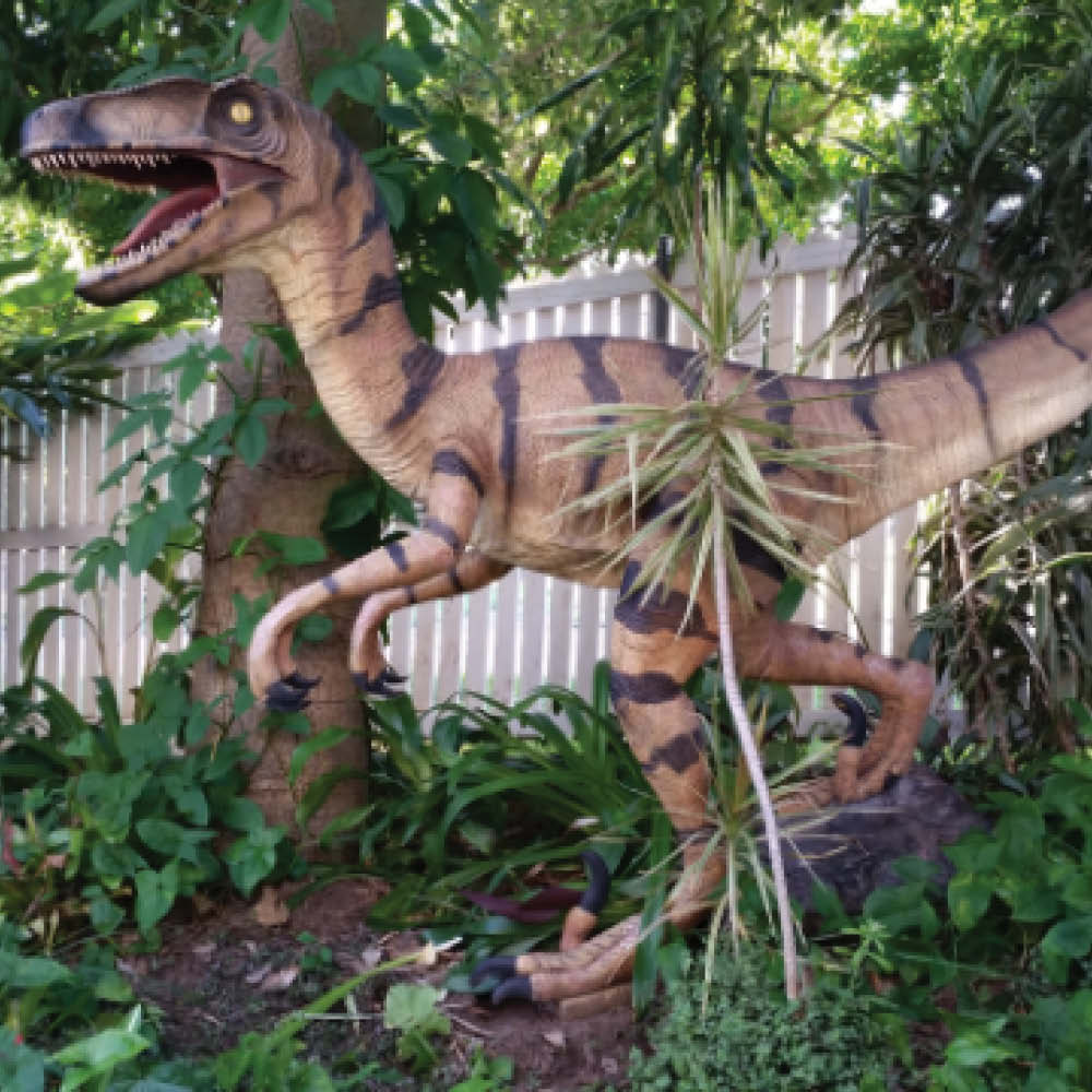 Natureworks Australia Velociraptor Natural - standing - 110015 - shown in exhibit outside in natural setting