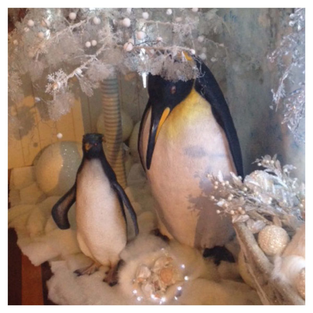 Natureworks Australia WaterBirds PenguinSet