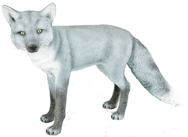 Natureworks Australia arctic fox sculpture for sale