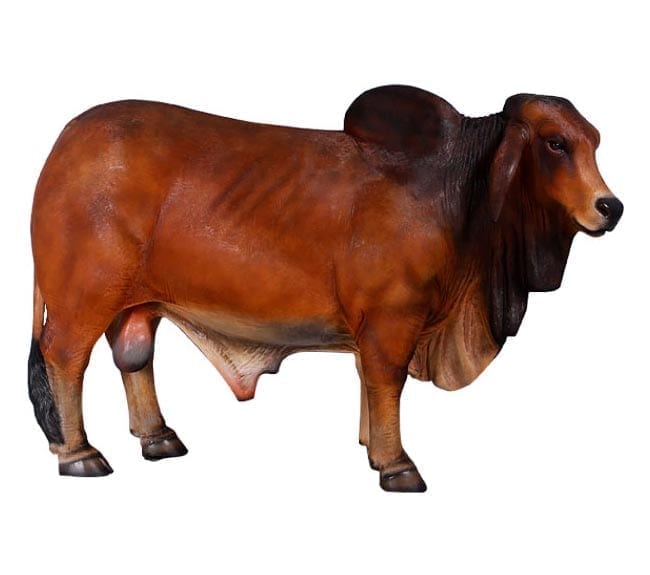 brahman Bull Sculpture