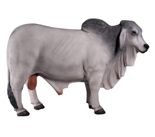 Brahman Bull Statue Grey