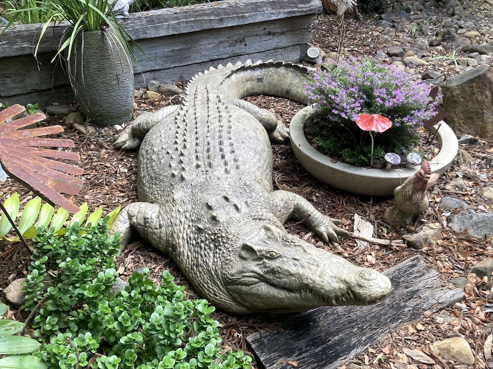 Natureworks Australia 12 ft saltwater crocodile sculpture in garden- 080123