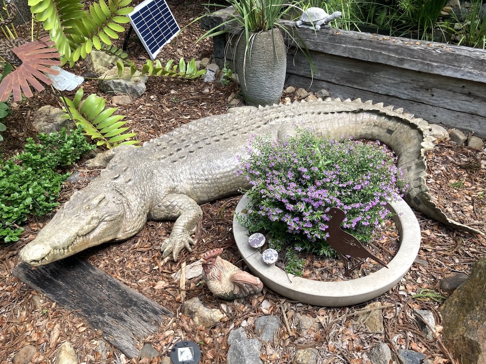 Natureworks Australia 12ft long saltwater crocodile statue in garden - side view - 080123