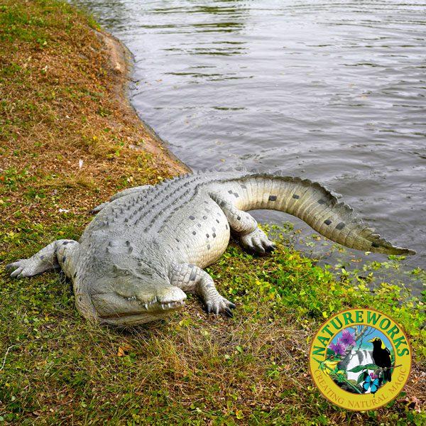 Crocodile Sculpture