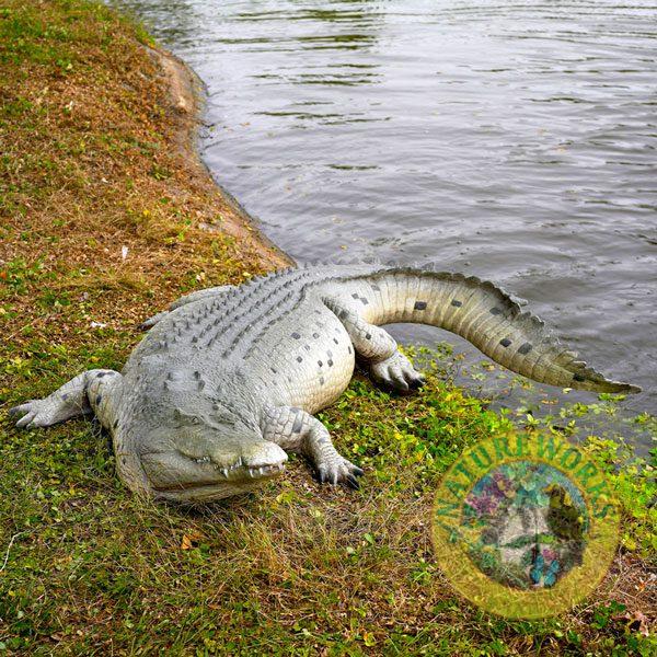 Crocodile Sculpture