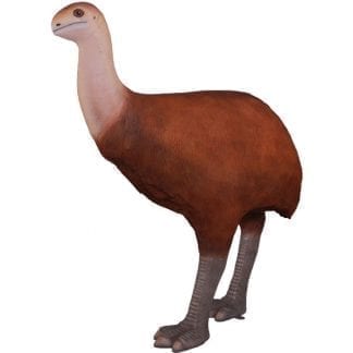 Natureworks Australia fibreglass Bullockornis Sculpture Extinct Megafauna