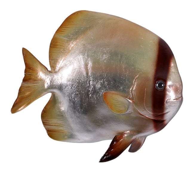 fibreglass fish batfish