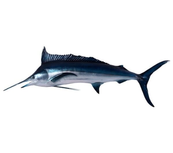 fibreglass fish black Marlin
