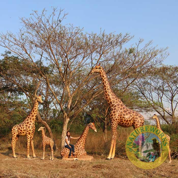 Natureworks Australia Giraffe with company