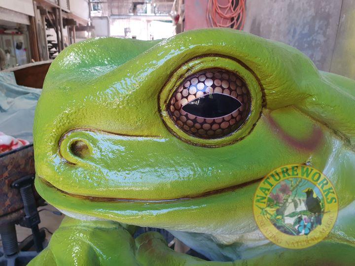 Natureworks Australia Giant Green Tree Frog - Image 8