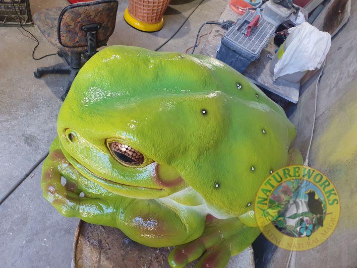 Natureworks Australia Giant Green Tree Frog - Image 11