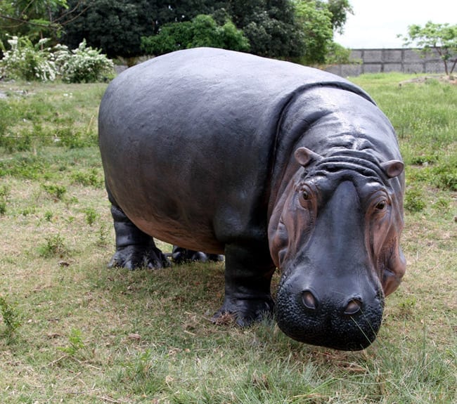 Natureworks Australia hippopotamus Garden Decoration Statue
