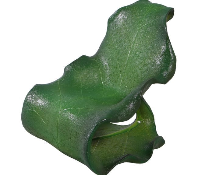 indoor Leaf Kids Chair