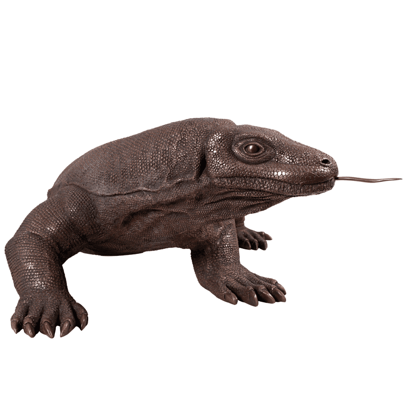 Natureworks Australia komodo bronze 3