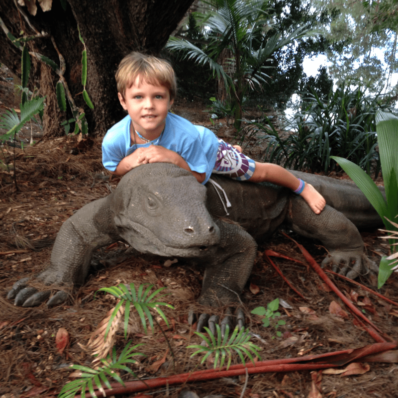 Natureworks Australia komodo bronze 4