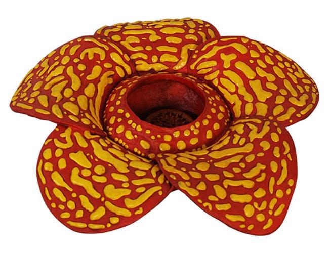 life size fibreglass Rafflesia Flower NW